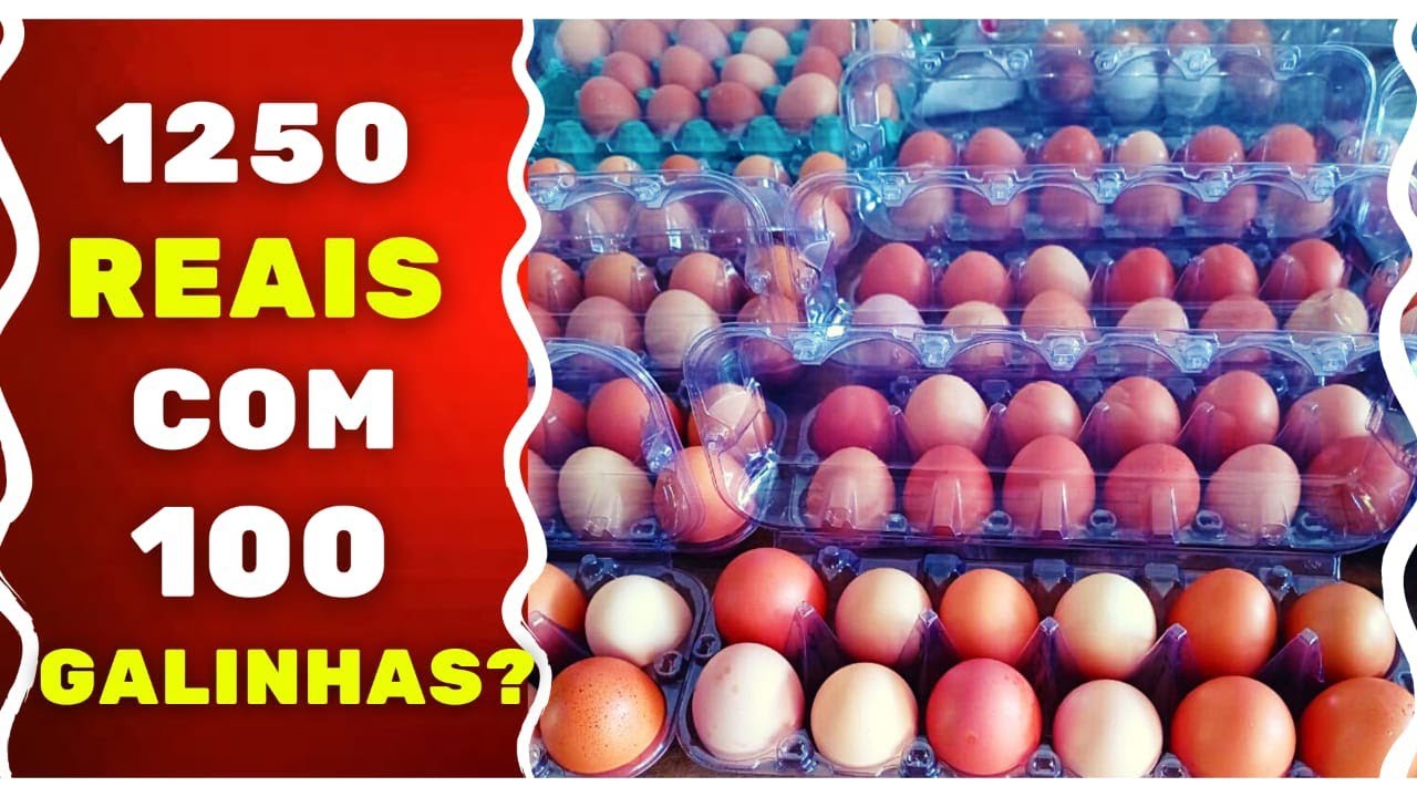 QUER GANHAR 1250 REAIS COM 100 GALINHAS ? QUER GANHAR 1250 REAIS COM 100 GALINHAS ?