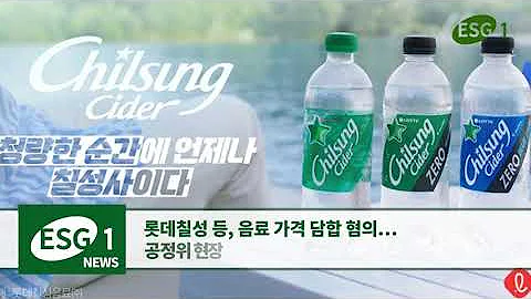 롯데칠성 등, 음료 가격 담합 혐의…공정위 현장 조사