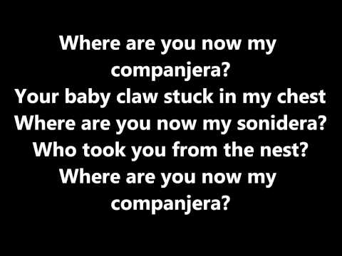 Gogol Bordello-My Companjera lyrics/letra