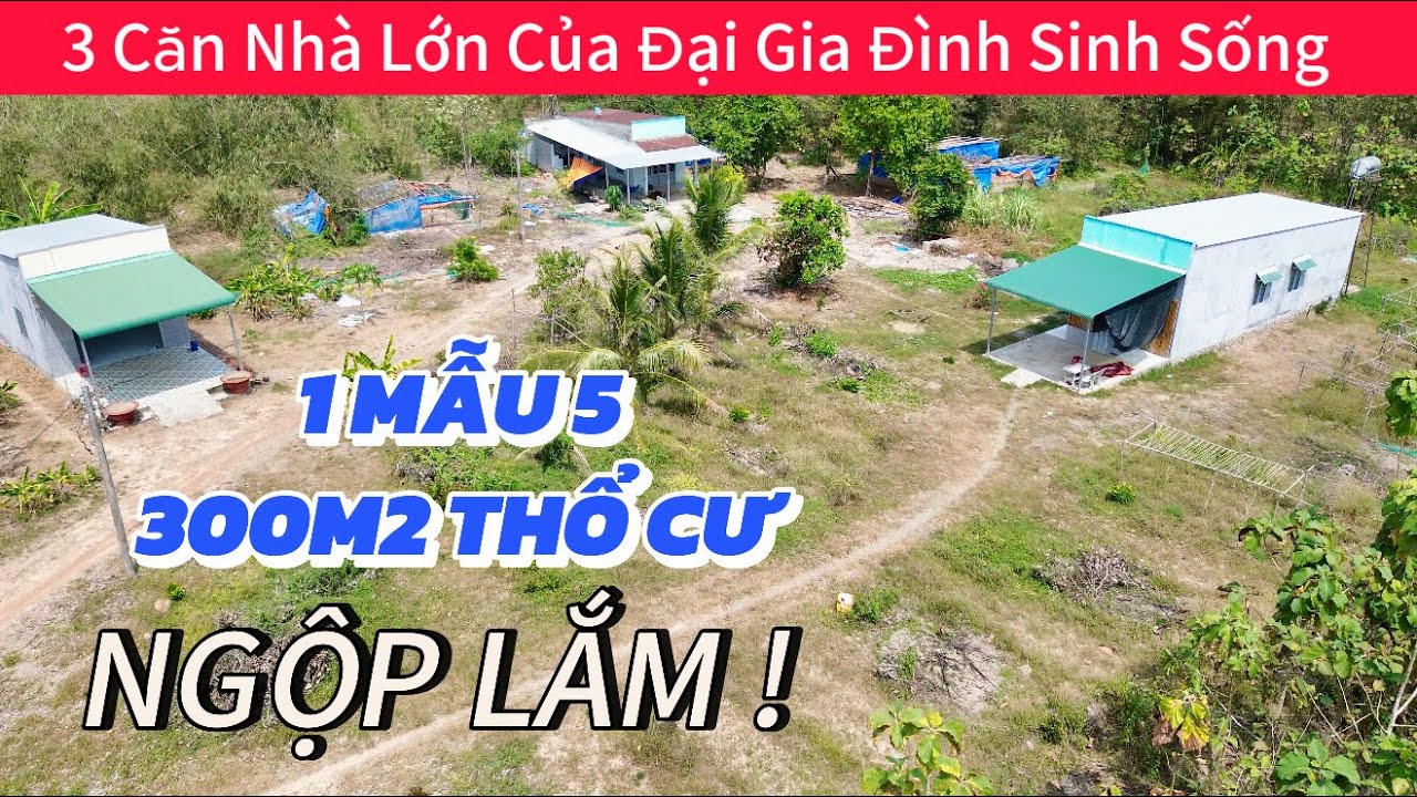 VỠ TRẬN THẬT RỒI | 1 MẪU 5, CÓ SẴN 300M2 THỔ CƯ ( 3 CĂN NHÀ TO ) CỦA ĐẠI GIA ĐÌNH 