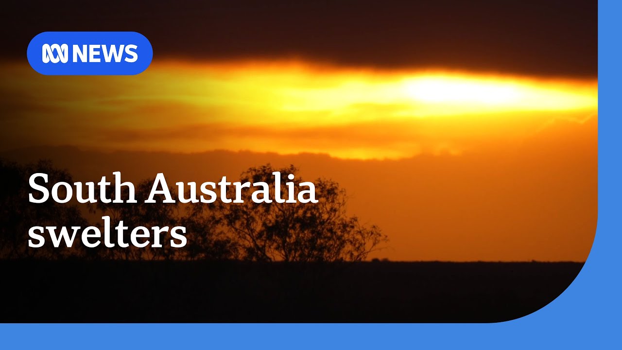 South Australia braces for extreme fire danger on second day of Ashes ...