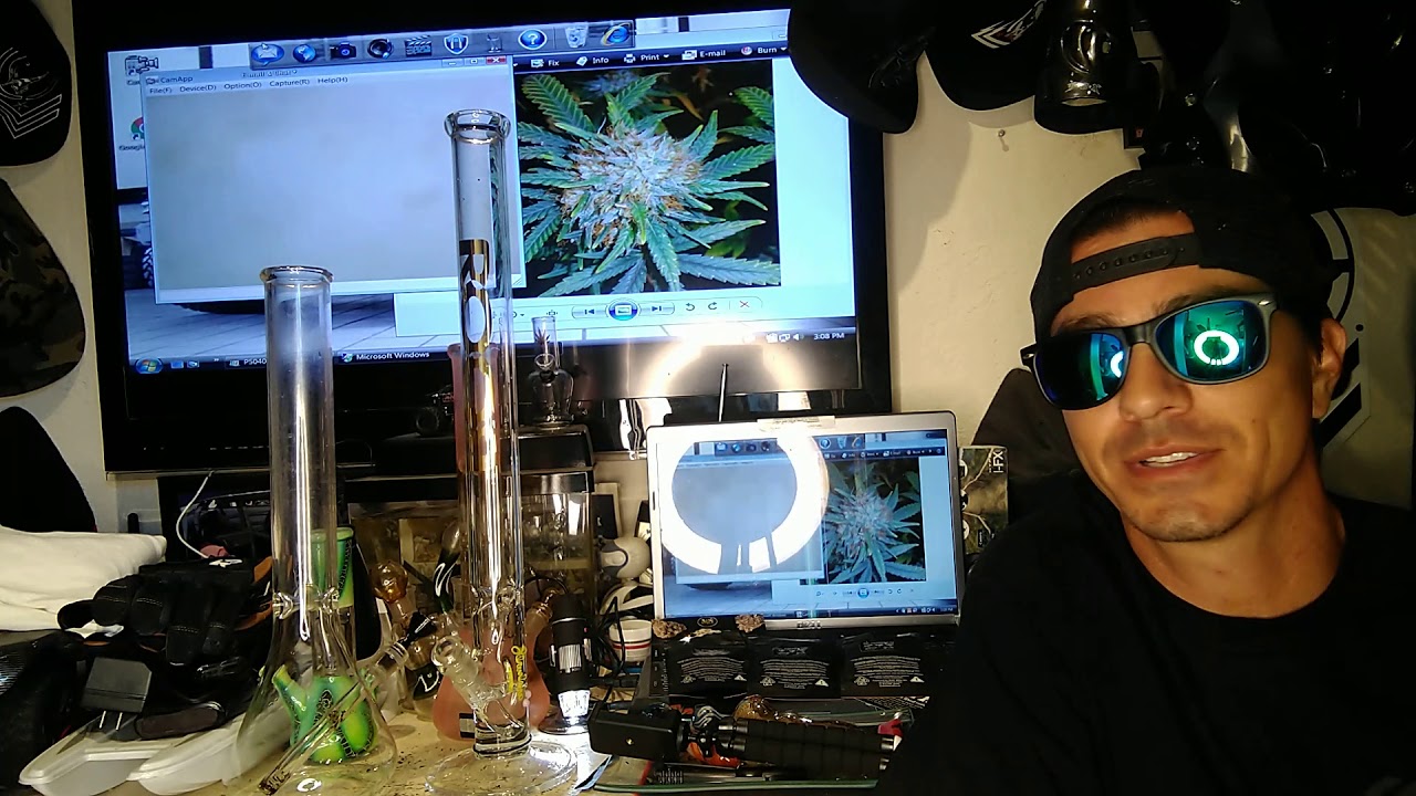 Shadow reviews maven genetics!