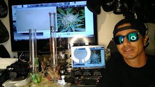 Shadow reviews maven genetics!