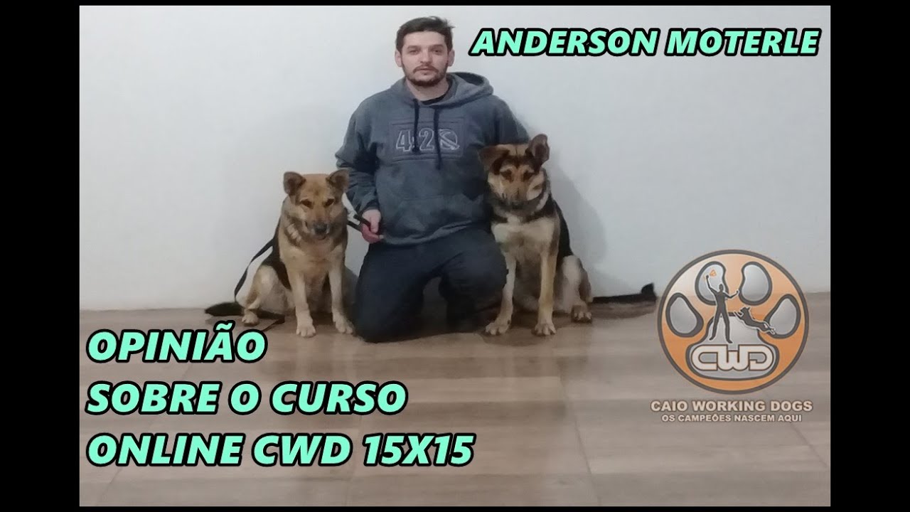 DEPOIMENTO ANDERSON MOTERLE CURSO ADESTRAMENTO ONLINE CWD 15x15 pastor belga
