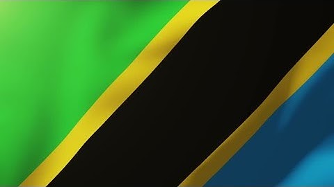 4K Tanzania flag waving in the wind. Looping sun rises style. Animation loop Stock video