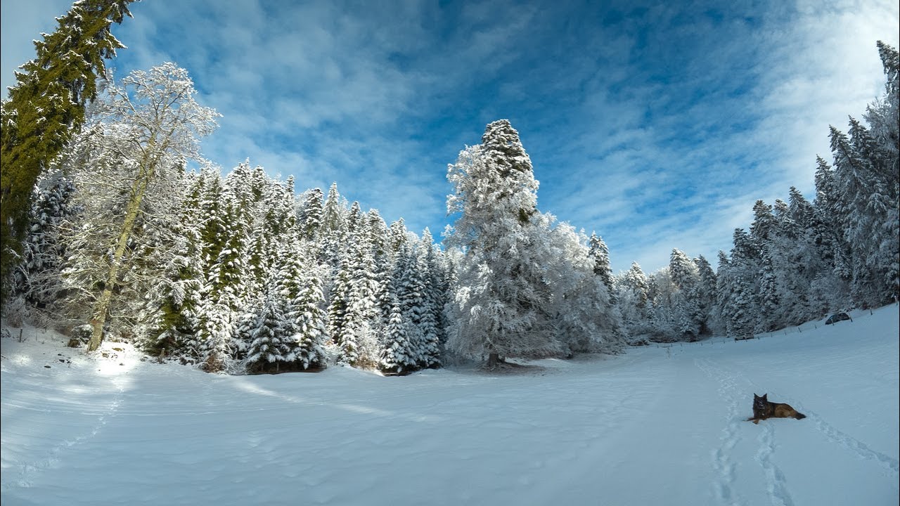 Balade dans le centre nordique de St-George
