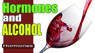 Alcohol and Hormones | Are You in Danger?