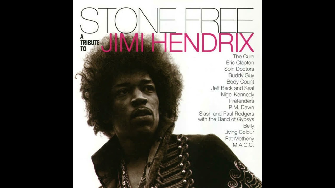 Jeff Beck & Seal ~ Manic Depression | 5:12 | The Video and Music preserver | 8K subscribers | 7,114 views | March 2, 2023