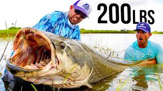 BlacktipH Compilation | 200LB Amazon Monster ATTACKS My Bait In A Florida Pond!