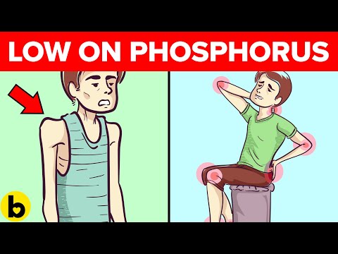 Wideo: Czy białka zawierają fosfor?