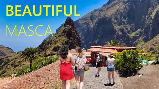 Masca Tenerife Spain 2022 🇪🇸 Walking tour in valley of canary islands [4K UHD]