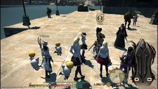 FF14 GRANSEEDS Post-Stormblood Main Scenario Quests: LV70-28 Feel the Burn 3