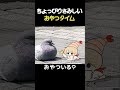 ちょっぴりさみしい おやつタイム【えびの天使ちゃん研究レポート】 #shorts