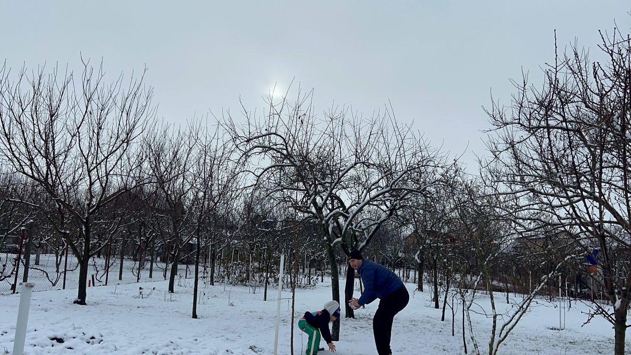 Petrecere anul nou cu prietenii dragi- Montăm biblioteca IKEA - zăpadă 