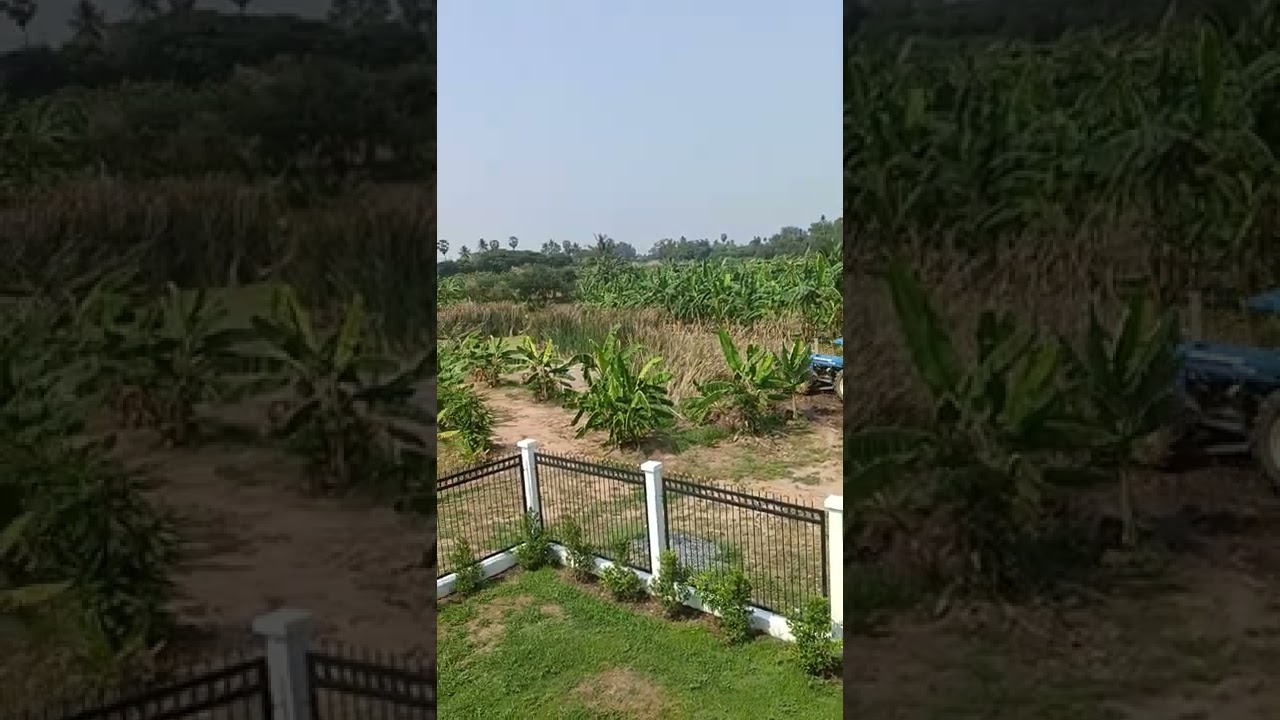 Erd Aufschüttung  2 Teich..