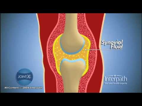 Video: Unde se găsește membrana sinovială și care este rolul acesteia?