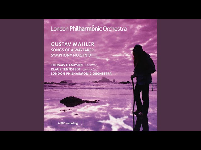 Symphony No. 1 in D Major 
