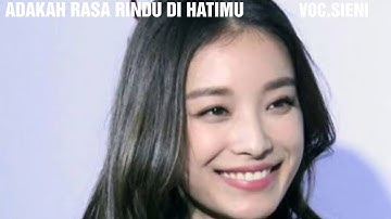 ADAKAH RASA RINDU DI HATIMU (葬花) POP MANDARIN INDONESIA