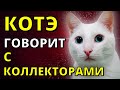 КОТЭ РАЗГОВАРИВАЕТ С КОЛЛЕКТОРАМИ | Разговоры с коллекторами | Антиколлекторы