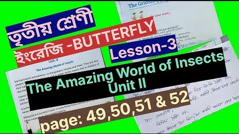 Class 3 English The Amazing World of Insects page 49-52 @primaryschooleducation34