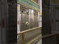 Madina Sharief Roza e Rasool, "light for eyes"