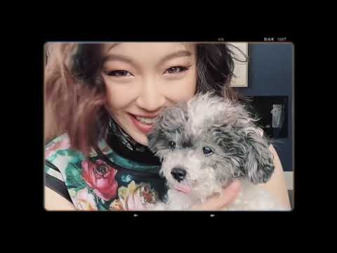 恰好 - 霍尊 PIAO 飘 Cover