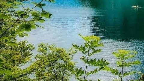 الشيخ محمود عبدالحكم رحمه الله \تلاوه مباركه من سورة النمل