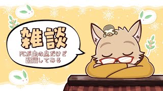 【🦊雑談🦥】生存報告おしゃべり～PCが虫の息だけど一か八かの配信する回～