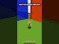 can I pass? #fyp #minecraft #shrinking #small #lava #water