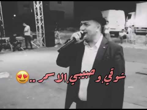 موسم قطف الزيتون