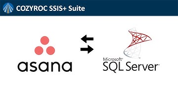 Asana Data Integration. SSIS REST data integration by COZYROC. Free for download.