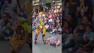 Karcocha en Guatemala (paseo la sexta,zona 1) parte 2