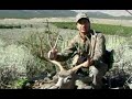 Deer Slam Pt. 5 UT Public Land Muley W/ Bob Fromme
