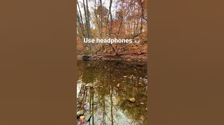 I never knew my AirPods had so much bass 🎧