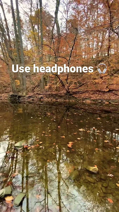 I never knew my AirPods had so much bass 🎧