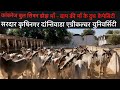 KANKREJ BULL SEMEN FROZEN DOSE AVAILABLE DANTIWADA AGRICULTURE UNIVERSITY