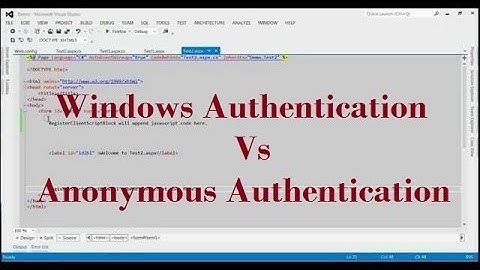 Difference Between Windows Authentication And Anonymous Authentication