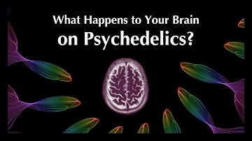How Do Psychedelics Transform Your Brain? A Neuroscience Approach.