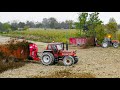 BIG MANURE SPREADING | Fiatagri 180-90 & New Holland M160 + Vaschieri 2 Assi