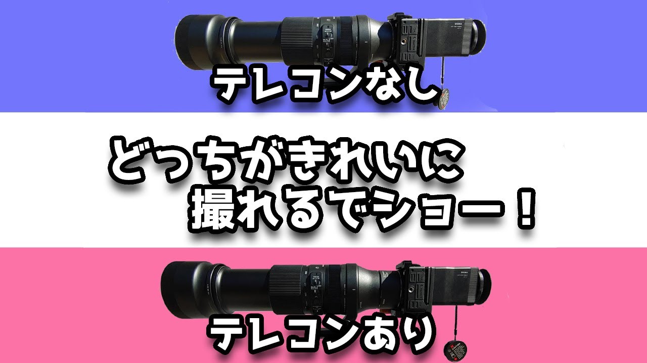 テレコンあり、テレコンなし、どっちがきれいに撮れるでショー！ SIGMA