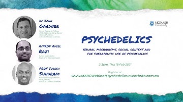 Psychedelics: neural mechanisms, social context and the therapeutic use of psychedelics