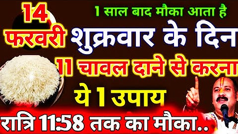 14 फरवरी फाल्गुनमास शुक्रवार द्वितीया को 11 चावल दाने 😱 वाला उपाय जरुर करें..#pradeepmishraji