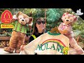 Aulani Merch Tour! Exclusive Disney Goods Including Duffy & Friends!