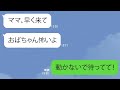 【LINE】カメラの前で堂々と浮気する夫→家族のSOSに嫁怒りの反撃www【スカッとするライン】