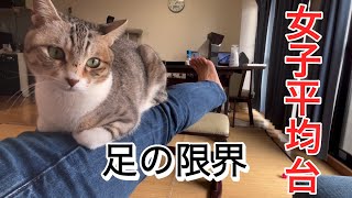 飼い主の足を壊してでも甘えにくる猫が可愛い by はるあき 564 views 1 month ago 2 minutes, 23 seconds