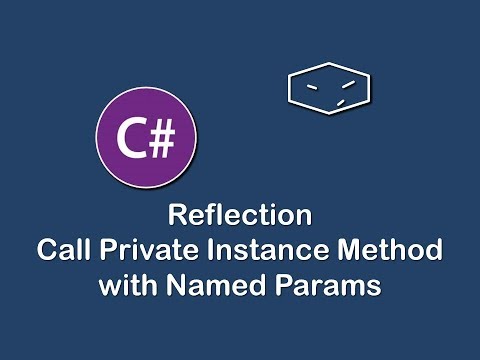 call private instance method with named params using reflection in c#