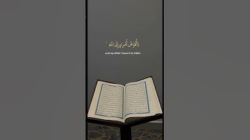 تلاوة نادرة #القارى حمادة جودة هلال