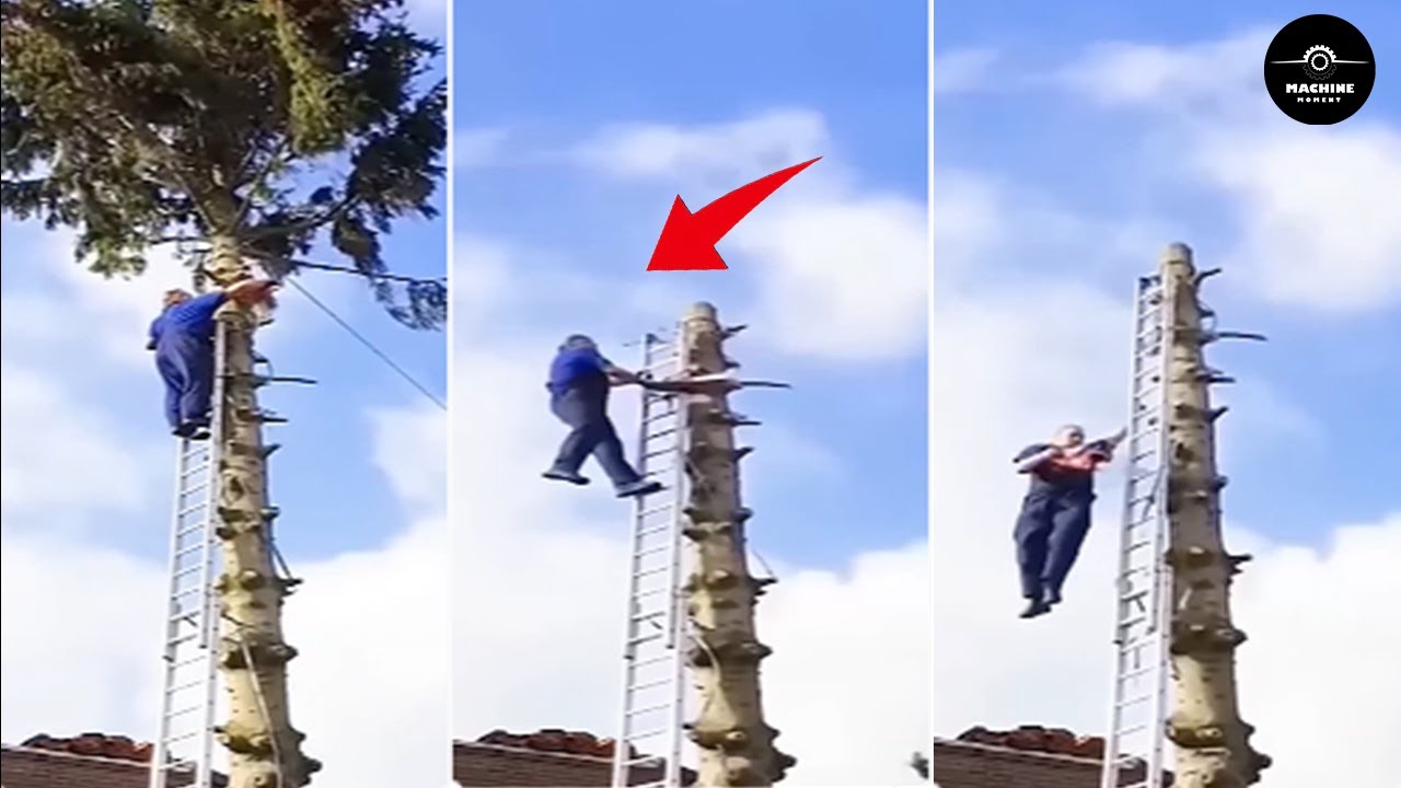 Dangerous Fastest Idiots Cutting Tree Fails Skill With Chainsaw | Tree ...