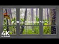 4K Jungle window view with birds singing - Relaxing, Calming, Ambience, white noise