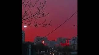 kletka - molchat doma /too slowed reverb